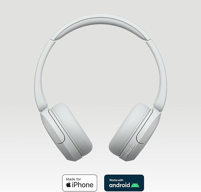 Sony WH-CH520 Wireless Headphones