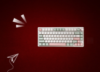 Computer Accessories
