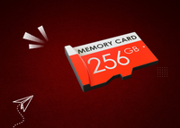 Storage and Memory Cards