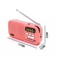 Portable FM/AM Bluetooth Radio MFC M-10BT