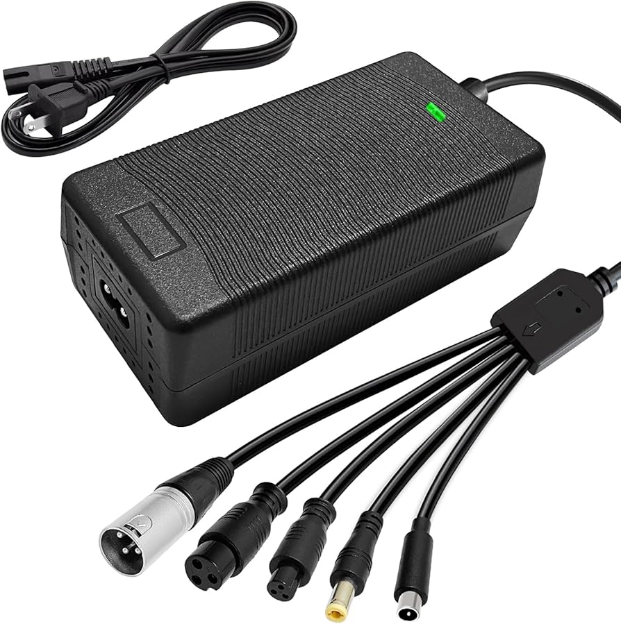 Universal 54.6V 2A Electric Scooter Charger, Bicycle Scooter Battery Charger with multiple connector