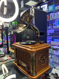 Feexot Vintage Retro Design Radio with BT Speaker