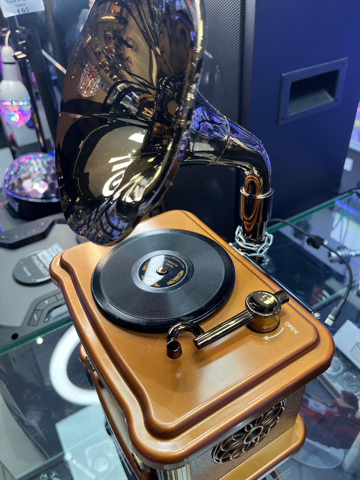 Feexot Vintage Retro Design Radio with BT Speaker