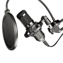 ART AC-03 Condenser Mechanical Filter And Diaphragm Stand Microphone