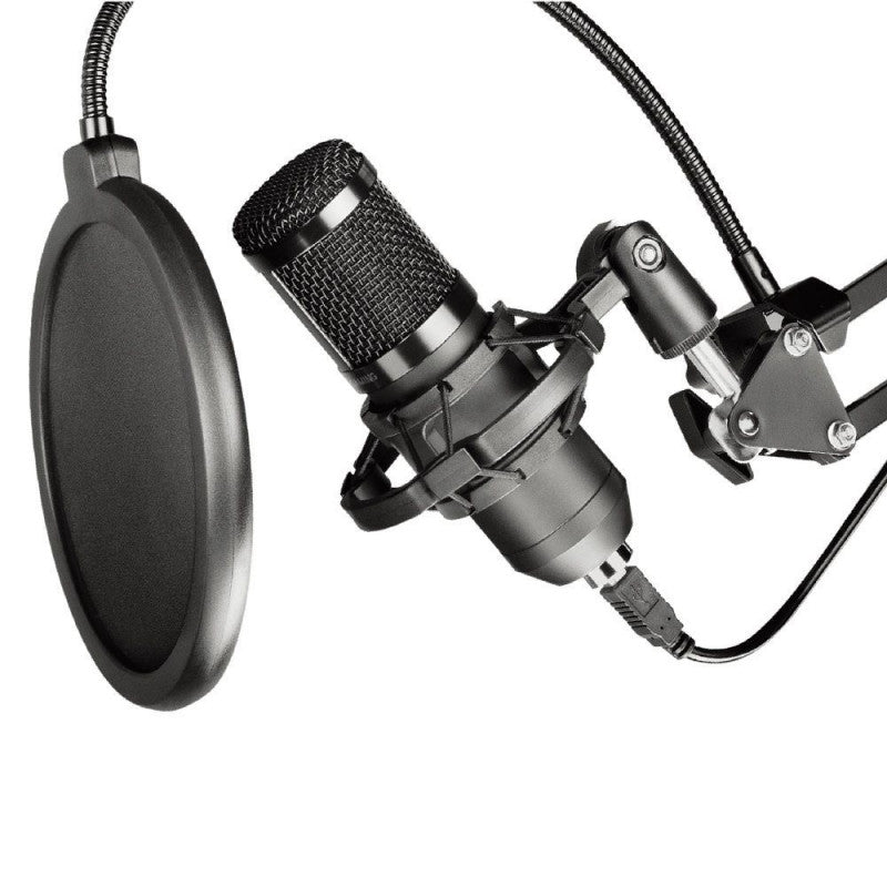 ART AC-03 Condenser Mechanical Filter And Diaphragm Stand Microphone