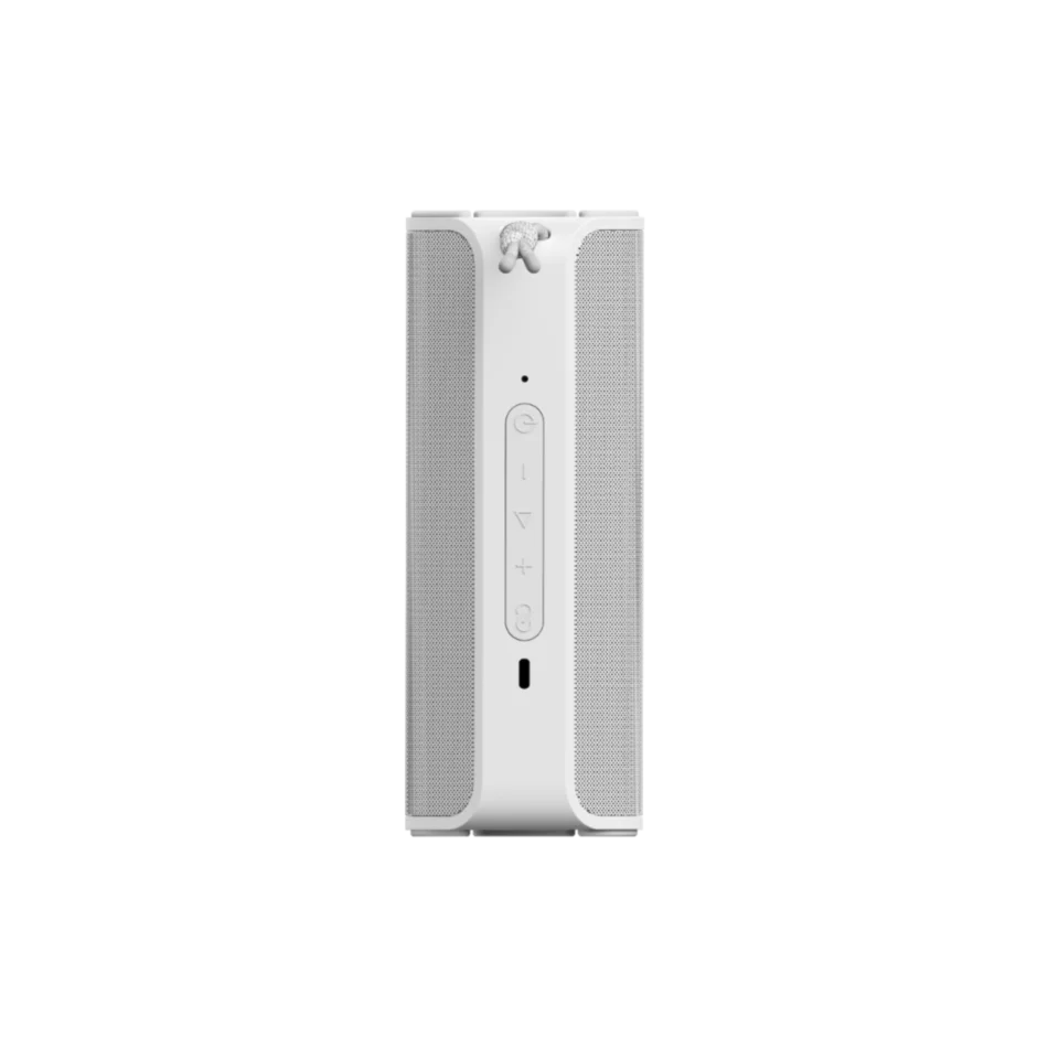 Sudio F4 Portable Bluetooth Speaker